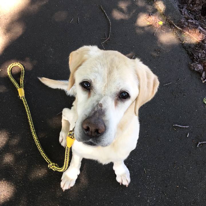 1df213c7 b522 4ec7 b0d2 72d91f0cb993 1526949863833