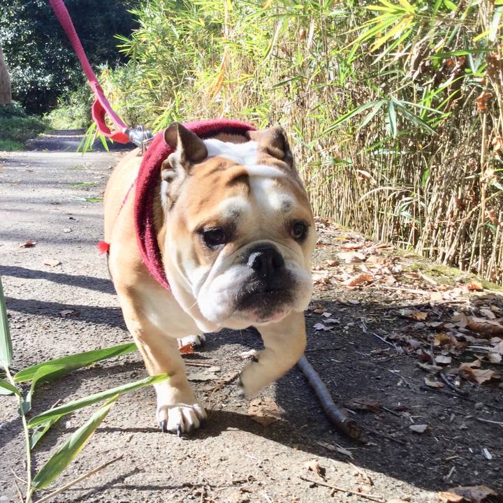 1df22ff0 87ad 41e5 b72f 55693c4da0fe 1512277915243