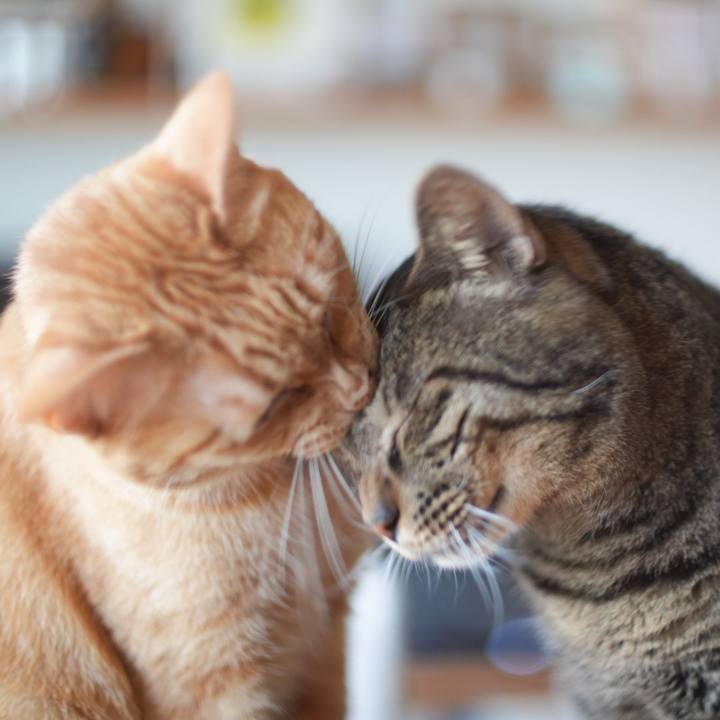 1df230d1 e717 4b70 a19b 5d8fa89b57c9 1752205282631