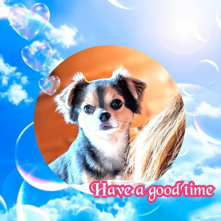 1df24219 aecd 4fdd ab14 cdcb63023380 1595389289739