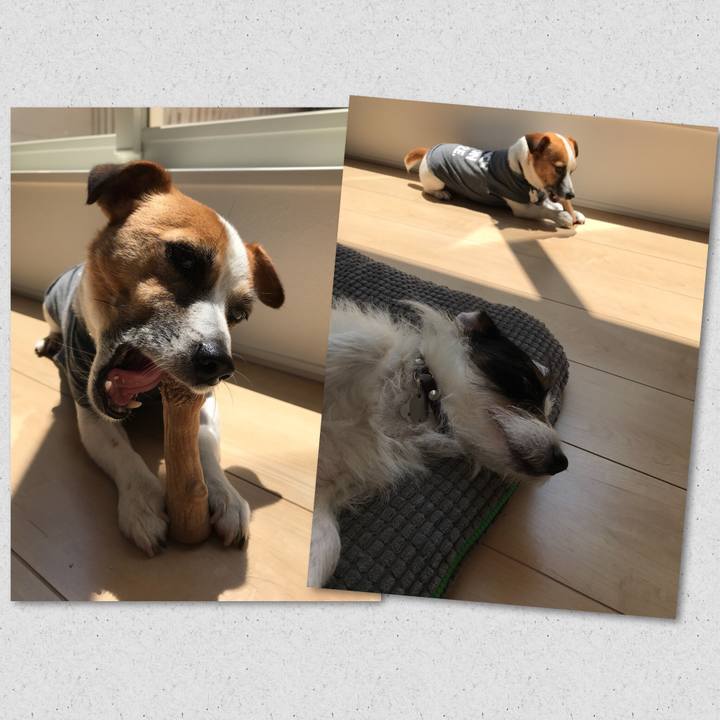 1df24cc8 306b 4dde 8ff9 dce4273848d3 1529900226702