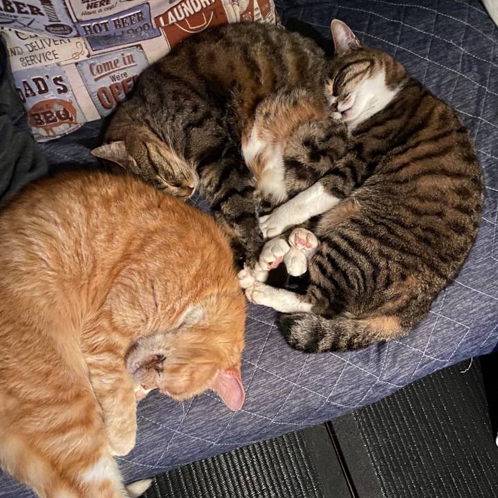 1df26131 7013 4136 81ac 6cb69ece1305 1590461210360