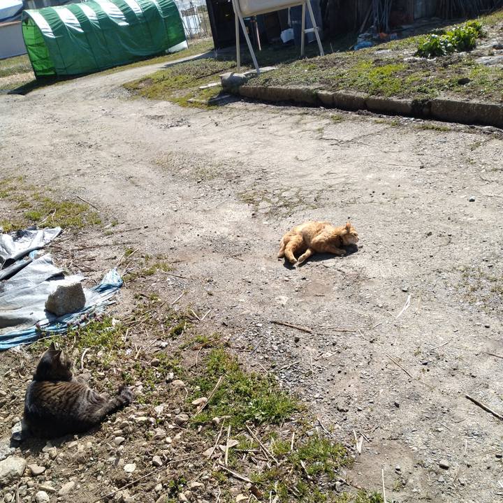 1df29cef 899a 4514 b81f b48387dff2cf 1680139260788