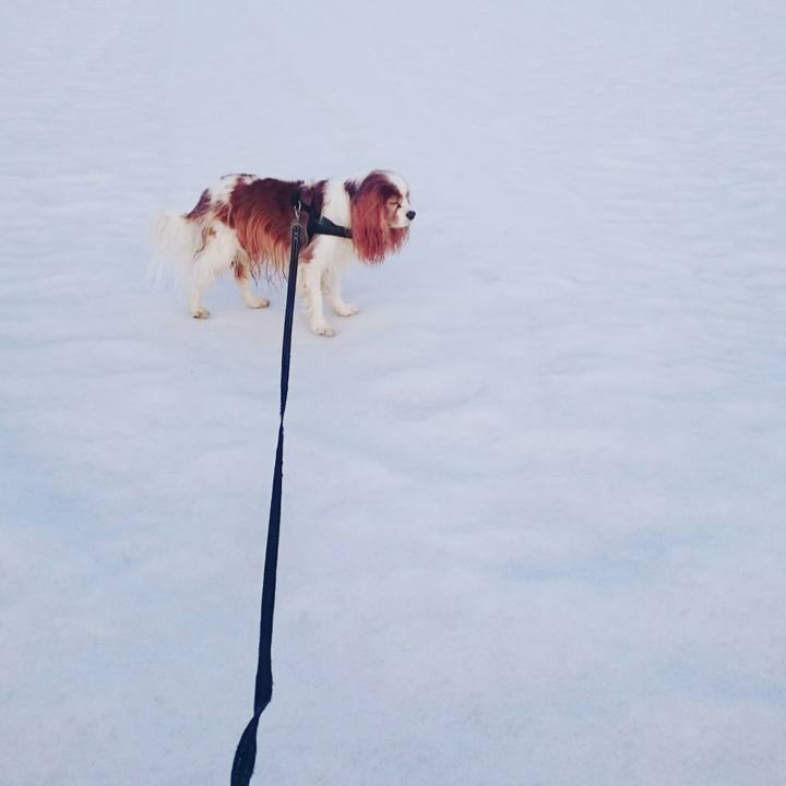 1df2aa9d bd68 461f bbfe 58c8aaf9dd8c 1552090560735