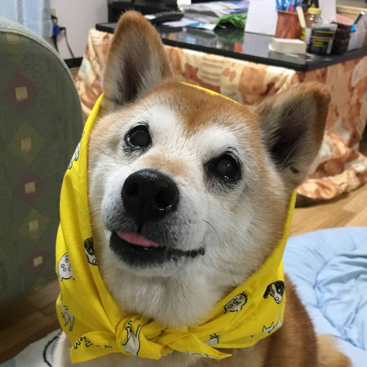 1df2b516 575b 4656 9548 c179faef3908 1528334664859