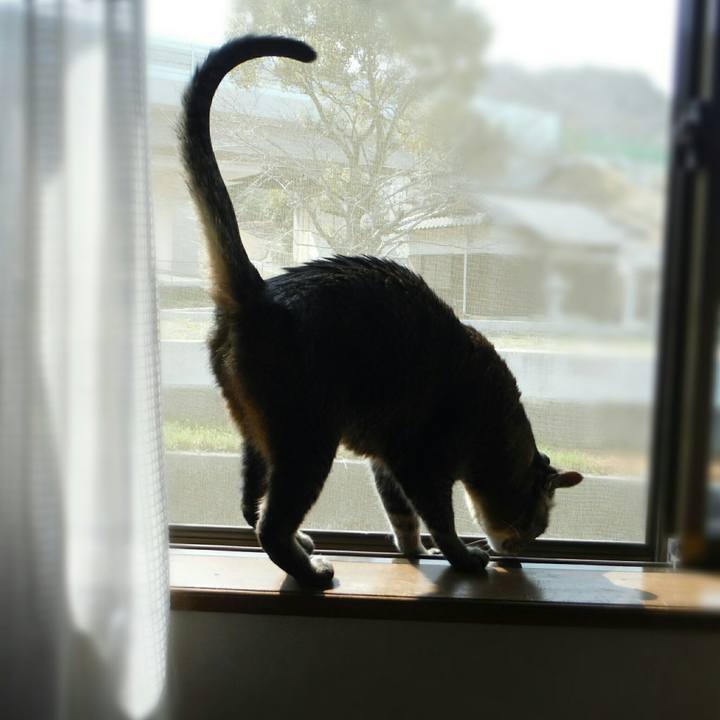 1df2c012 1f6d 41bd bb9e a5287372b8c9 1553150619687