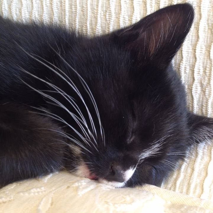 1df2ee9b 4525 4311 b015 315705402676 1536616763320