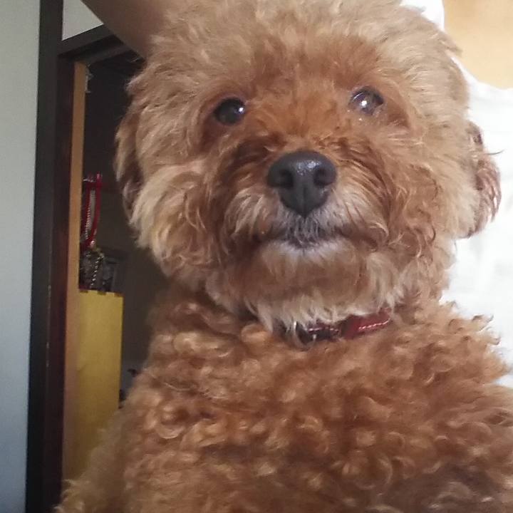 1df31916 309b 4e25 adbf 264933d2be58 1549428649384