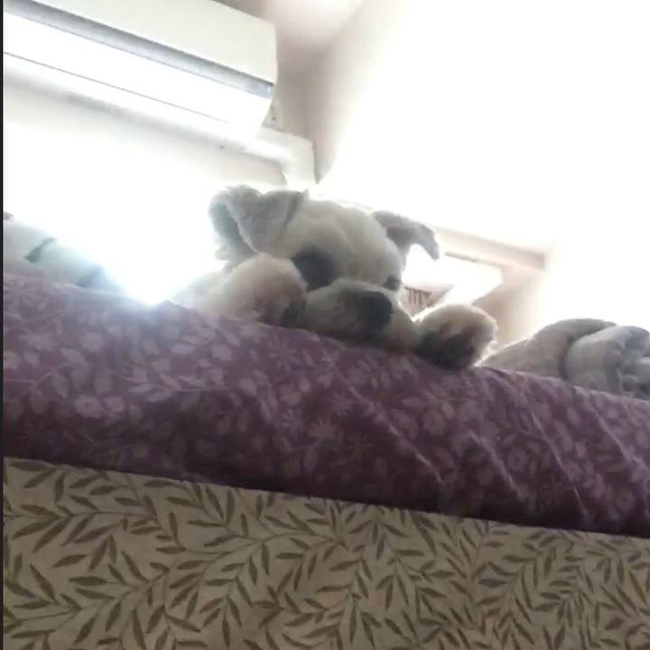 1df33b51 4504 4bc8 851b 9c79e2a8e8b2 1534553377133