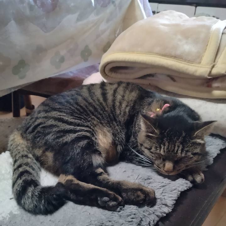 1df388b1 cac7 4965 94ce ba83a5fc6156 1668380967332