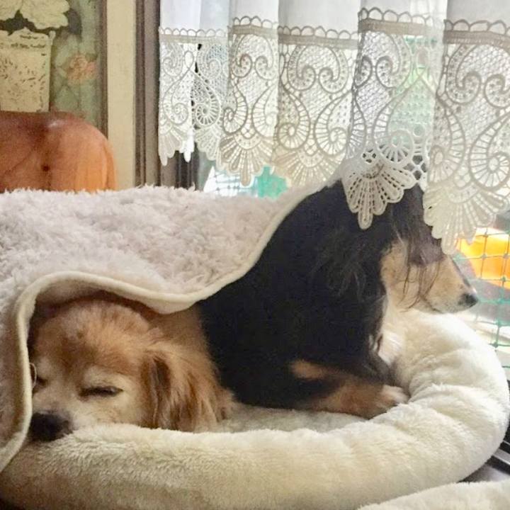 1df394dd 729f 4fea 8da0 8299b5658010 1539911504997