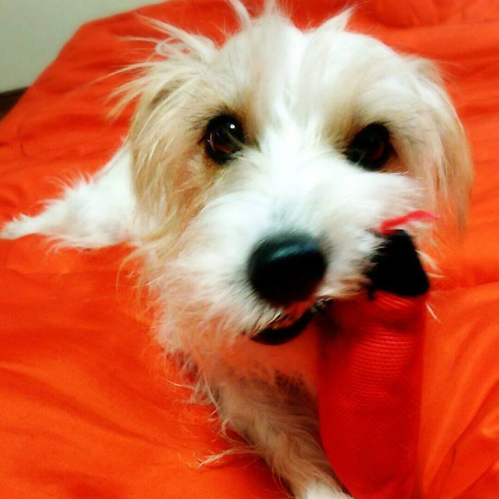 1df3a8bd 671d 4e8f 87df fbc82187fbb4 1517234405828