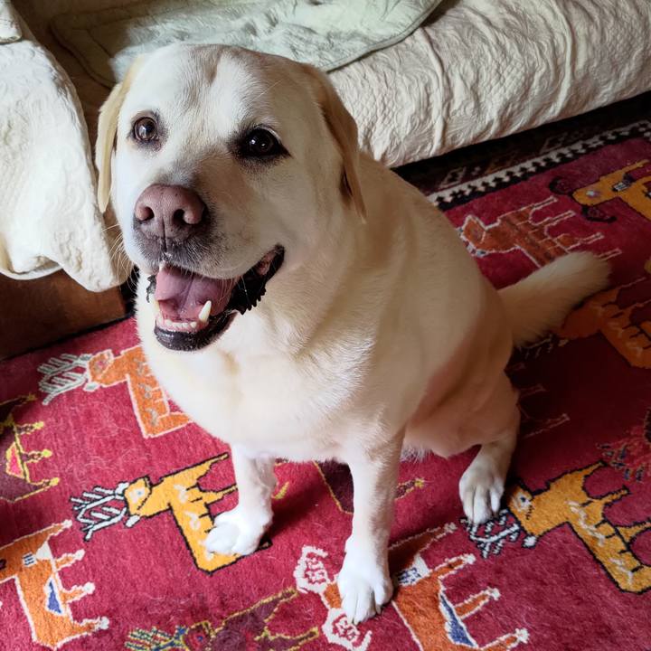 1df3d75b 34d8 44fd bfbd c2ab0756d498 1719884463294