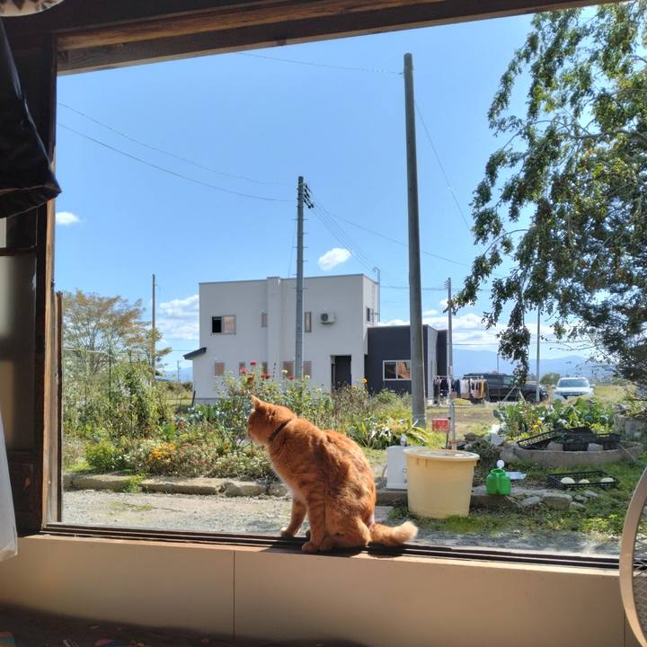 1df3dfb5 21bc 4b65 8fec b6c16d22a61e 1697183117959