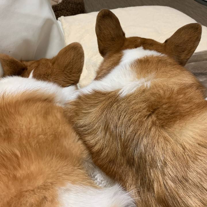 1df459fd f726 4109 8be6 c94683e6a0ea 1581831438717