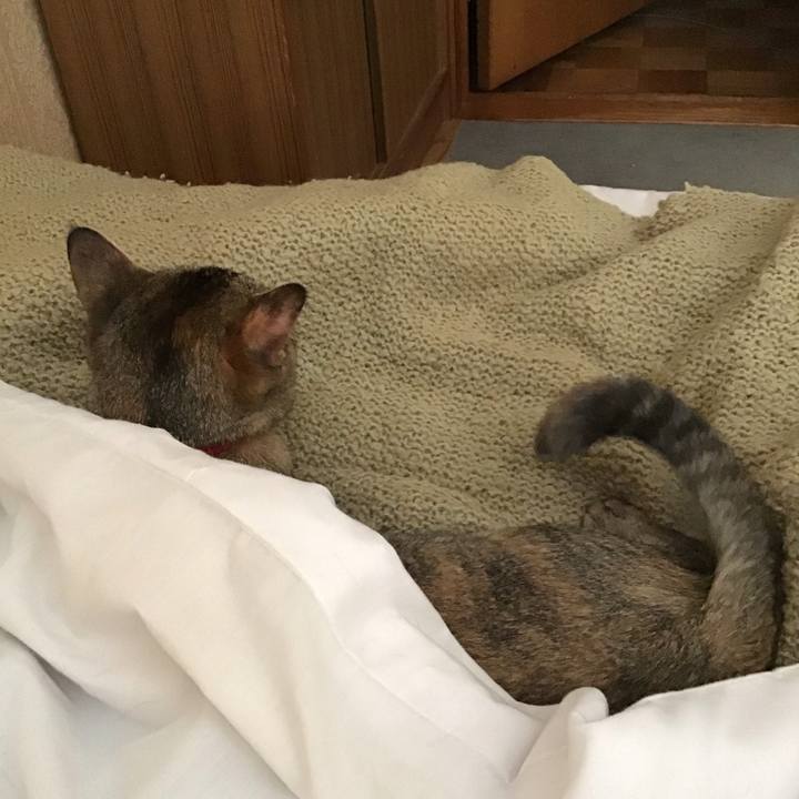 1df466fe 9dae 4d58 9fc2 4ddf381b5086 1584590412138