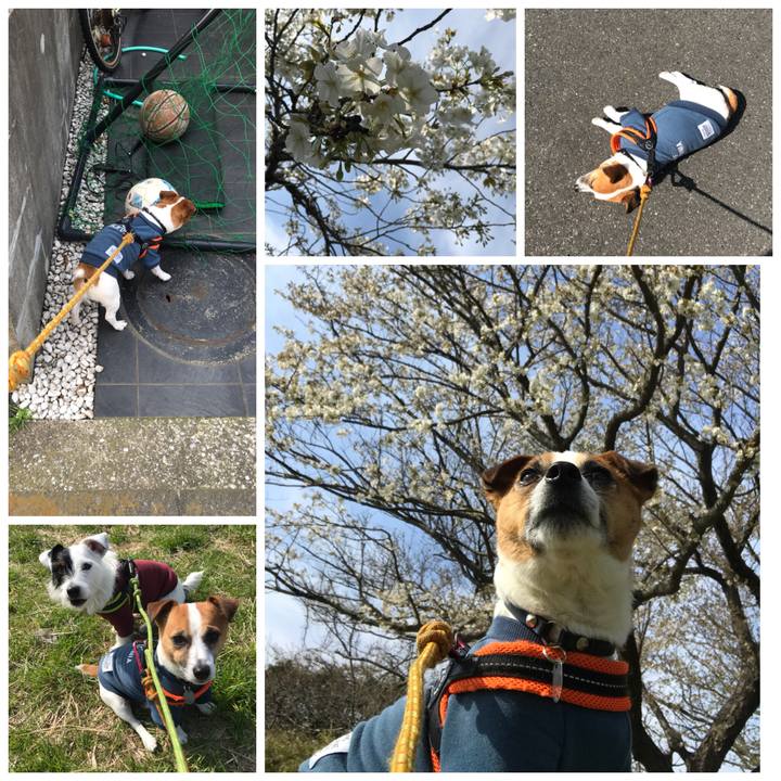 1df4d980 d1c3 4c5b 9f63 fe44faafd622 1522026213123