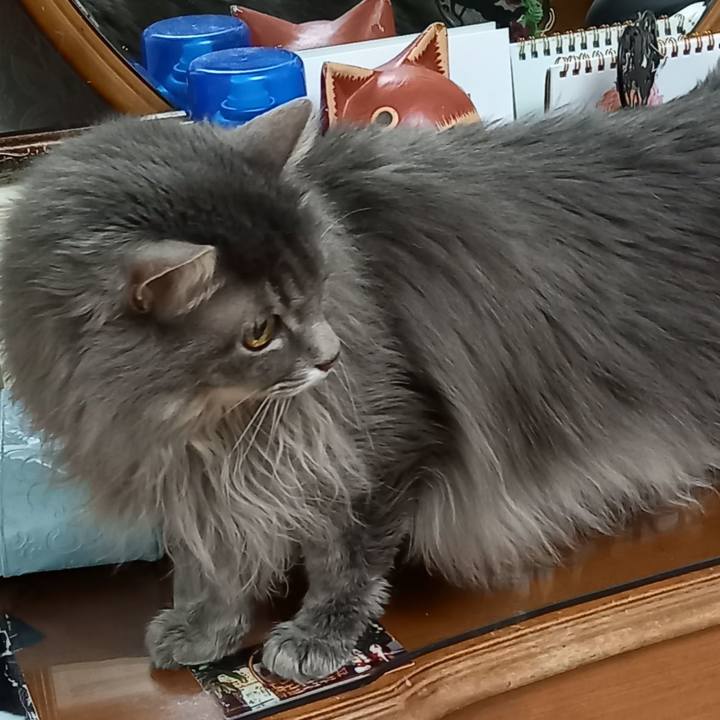 1df50e98 9372 4a4d b0a4 1aff52796718 1618922250024