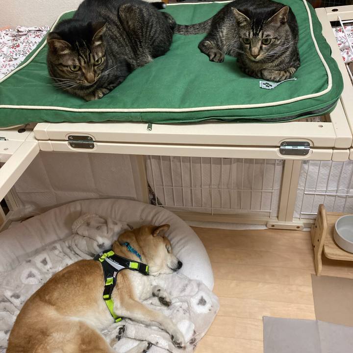 1df517f2 5bfd 4807 8e86 32d0d7a4d4e7 1608931967178