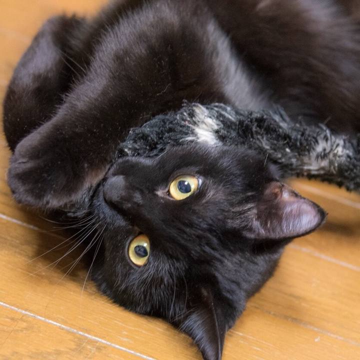 1df51e05 d22c 4c78 861e 7f9474318696 1541290175681