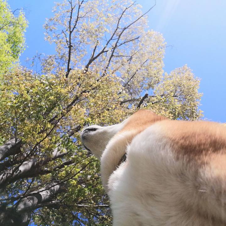 1df52953 47c2 4645 a30d d4c0e5a63c88 1618448999928