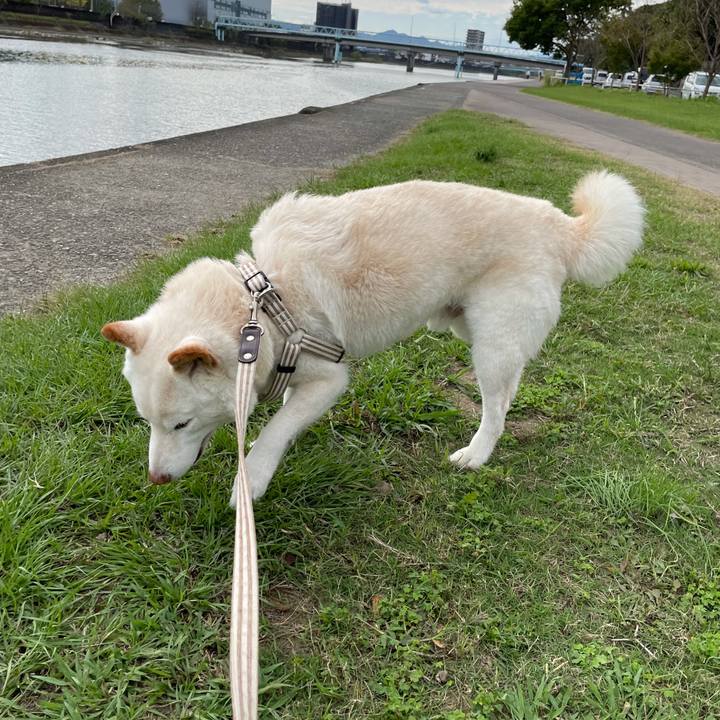 1df53342 9bc5 4719 8beb f85e908eb16e 1634634612186