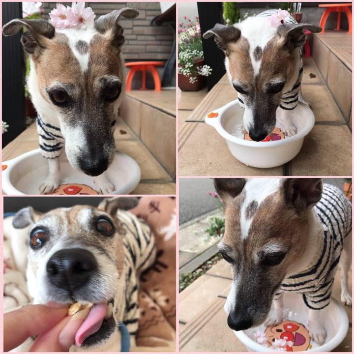 1df540af 5896 4bd8 9c59 59b2a2493446 1523152020931