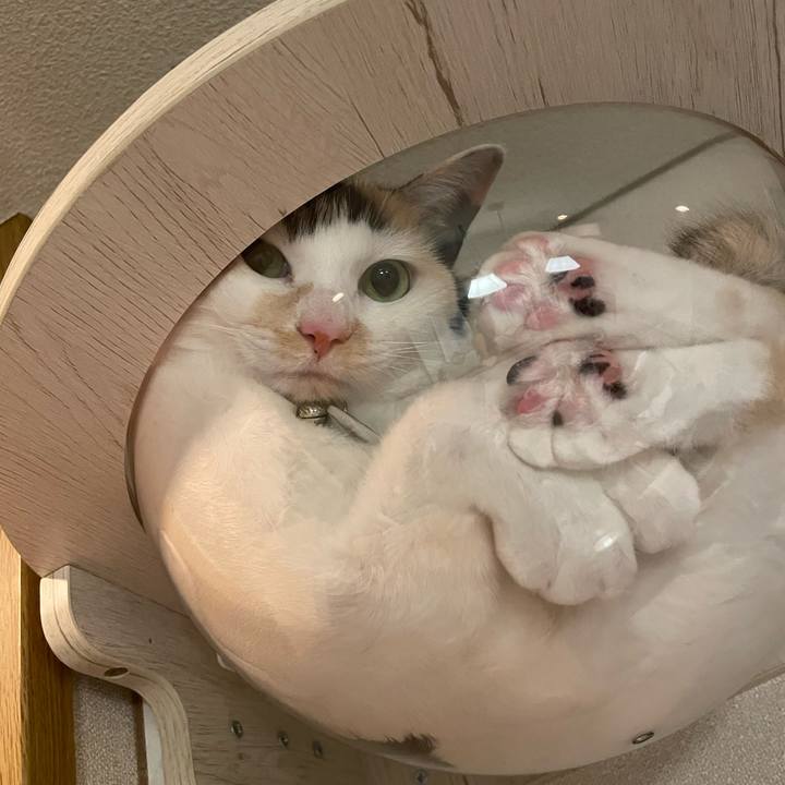 1df5468f 2d42 4b97 ae79 2490f1899330 1747579793076