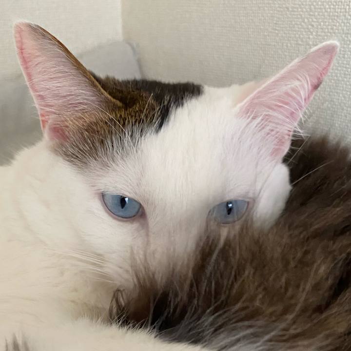 1df54cfc 7ad8 4a78 8d3b 4a6941558038 1578712400445