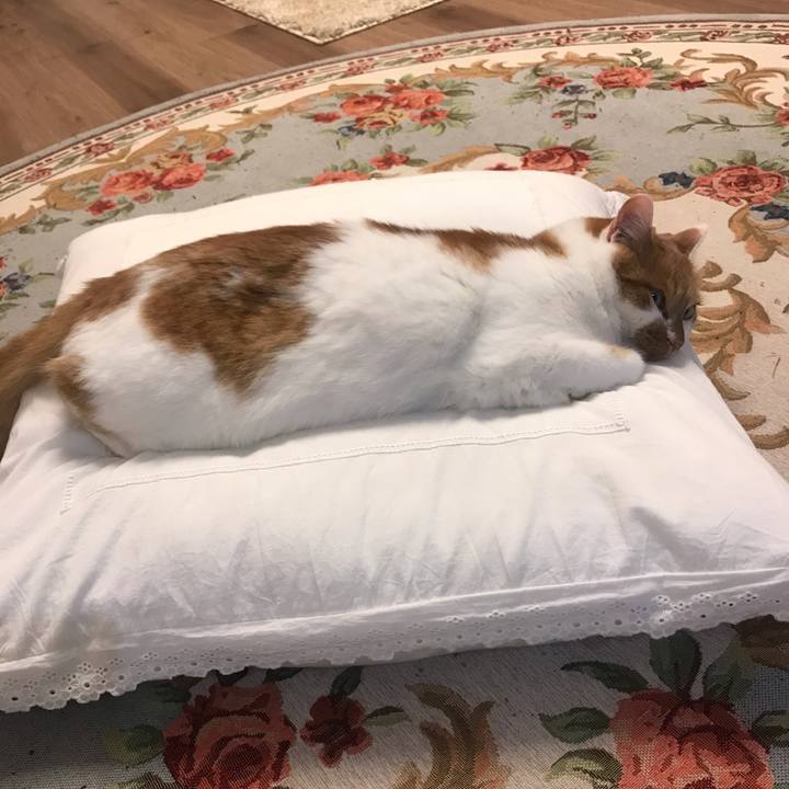 1df55ac9 e3e6 44d5 9f74 5e838255a8a5 1622082871596