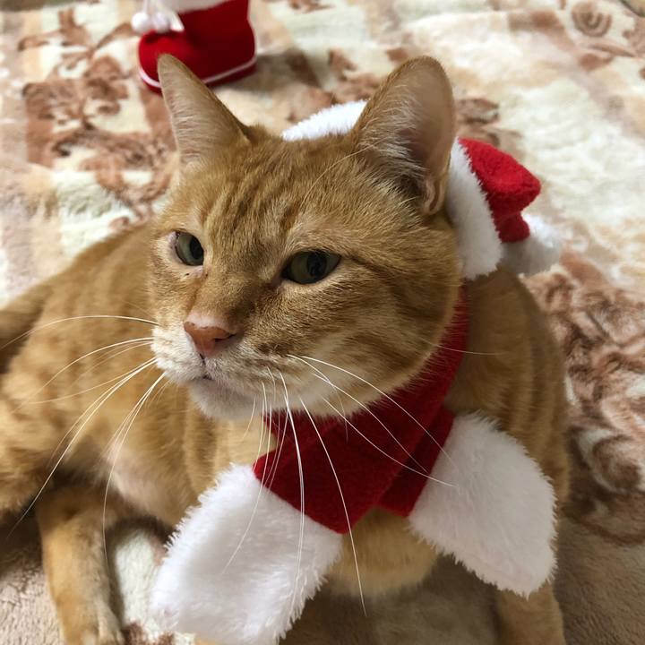 1df5bf4a 9c23 4c73 a868 cdfcb3d55104 1640343162284