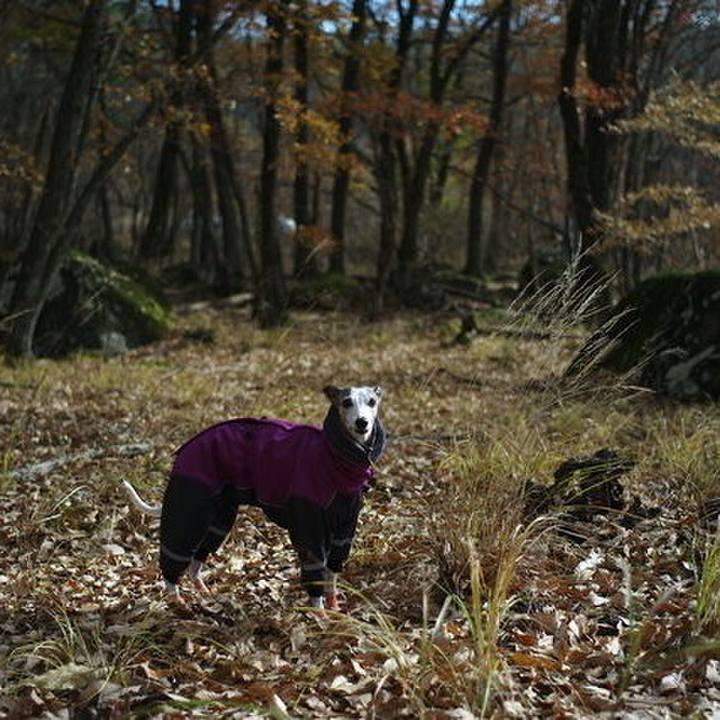 1df5e1b8 7e3f 437c befd efee85a5ce16 1514368462230