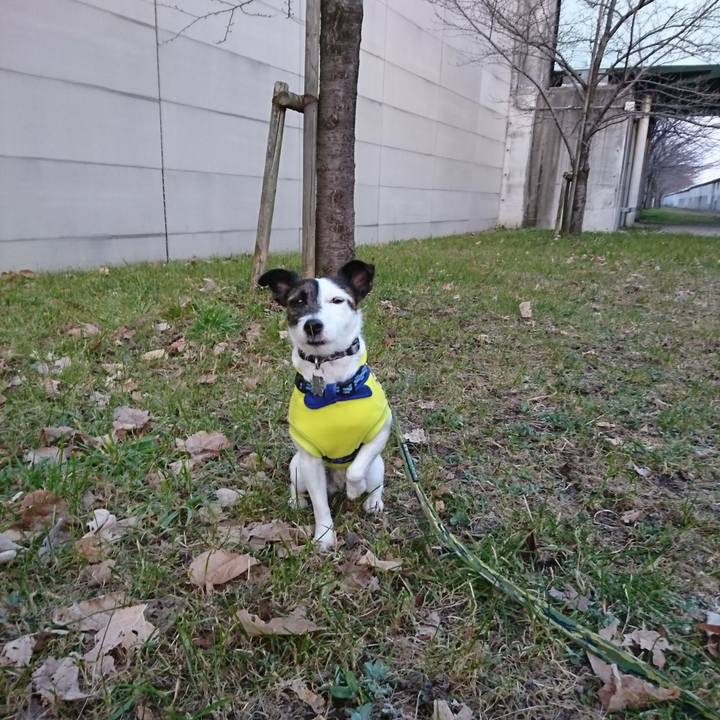 1df5f860 af36 4ad2 b4ac 266559baec68 1516485019506