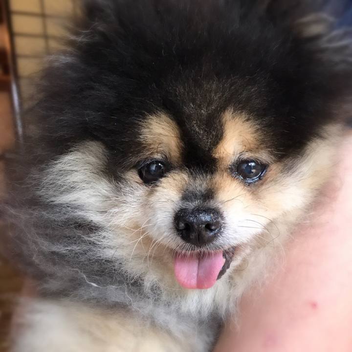 1df62ff7 9085 4a53 806a cf90064d6444 1573645158296