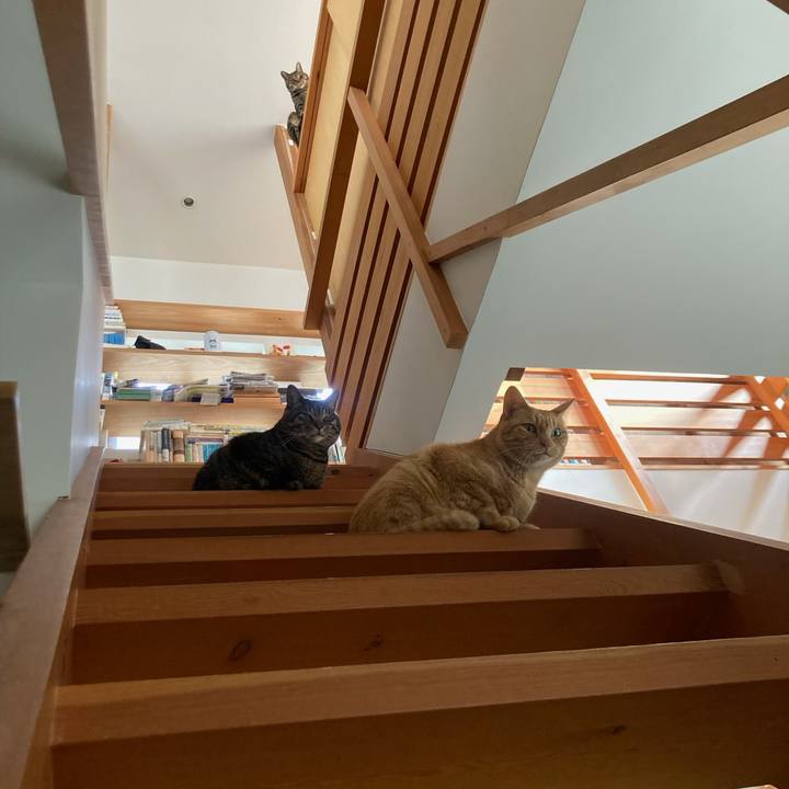 1df665b3 1285 408b aeae 31e794ded762 1774689850777