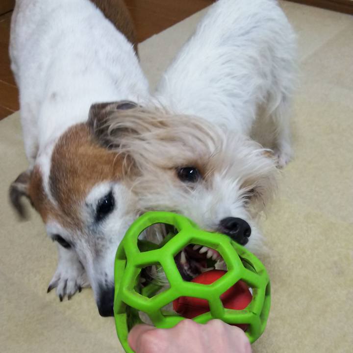 1df668b1 95df 45c9 a59d 1270f90c91bb 1523786119442