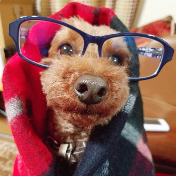 1df67f66 ae7e 4594 b017 19b02f542606 1544959441383