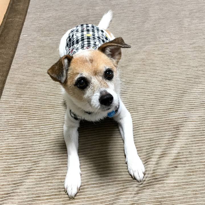 1df708b8 9d77 44e8 a4cf d497e8c44db3 1631864410136