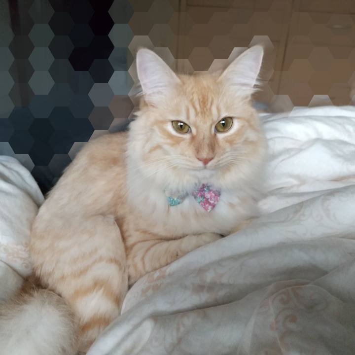 1df7134d af94 47dc 84ab dd92a3650861 1630189459947