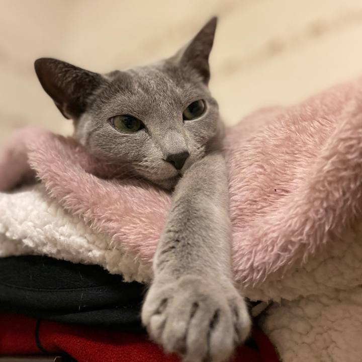 1df72f36 c218 4012 a314 f65bd51c9d99 1648342160020