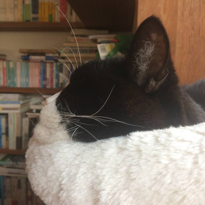 1df74361 b167 477c 8ebf 44ba3122573d 1603497427028