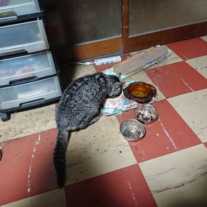 1df749e2 511e 441a 88f1 9027a06c577d 1579813259221