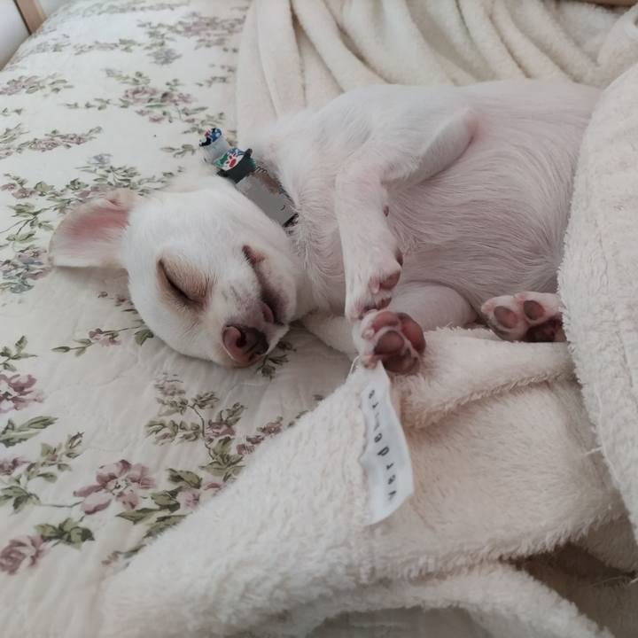 1df76e53 2abf 412e b039 a605c1114f81 1725061828516