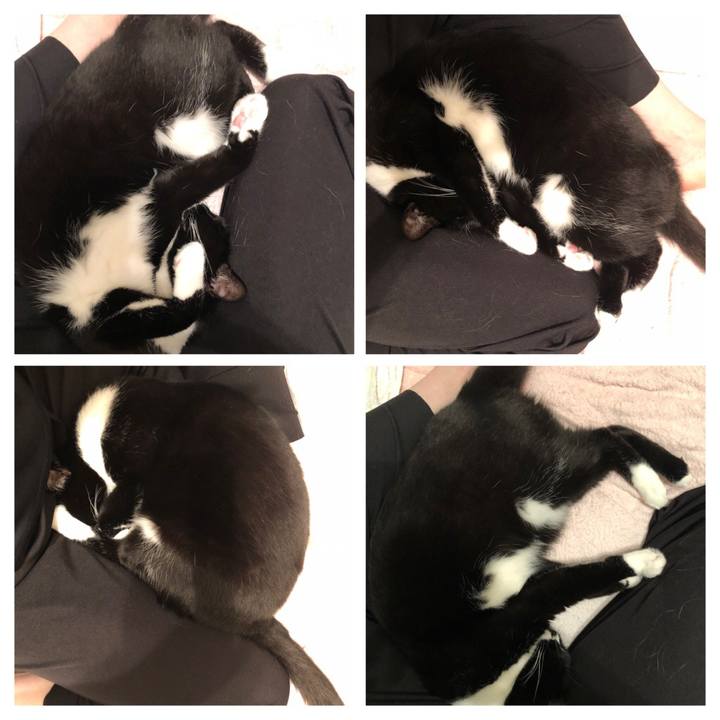 1df7878f cd8b 46b5 a980 4ca5ec4c49f2 1590724759404