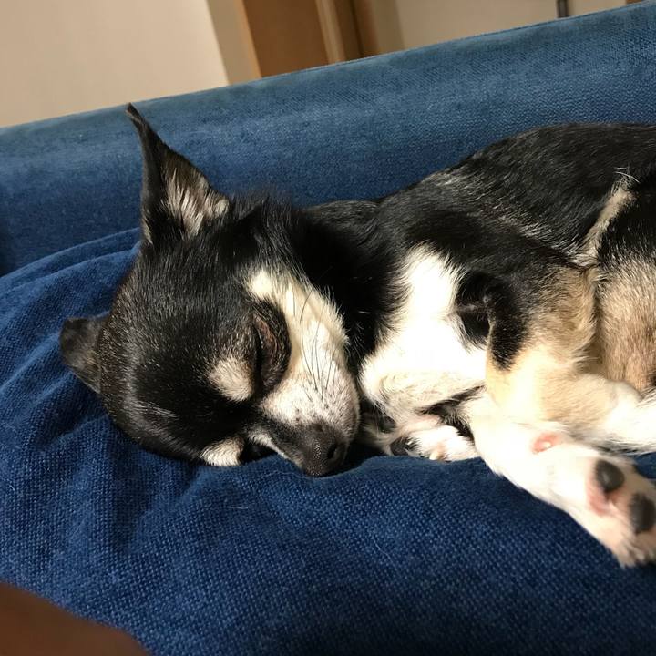 1df7c6cc 65a9 4854 a59b 9f4b2555e38e 1524568927874