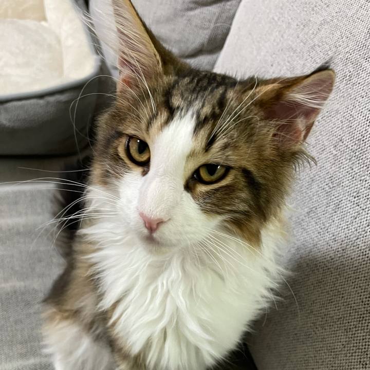 1df80c7c 25fd 4c9d 94fa e1278cb49535 1636019280815