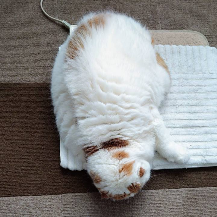 1df8220f 186b 4850 bbdc 760c4b67893d 1771291814527