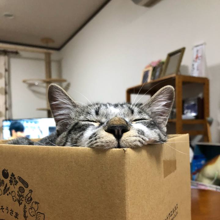 1df83a71 0ad4 4e67 b6c2 574c87ea4c4e 1647694041487