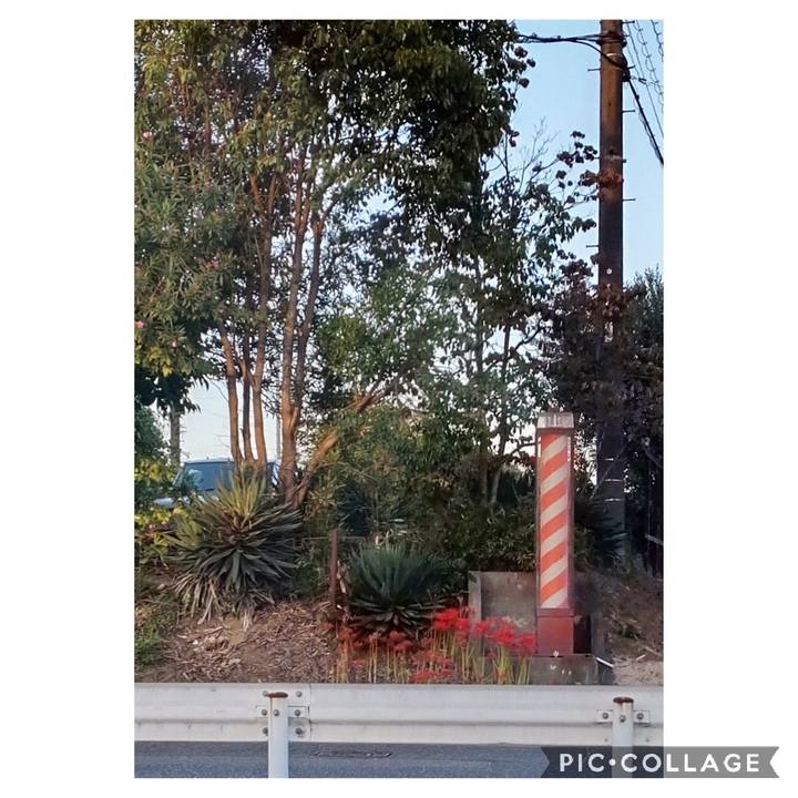 1df847c3 cf59 492a a56b 2b18c19dac89 1664059070095