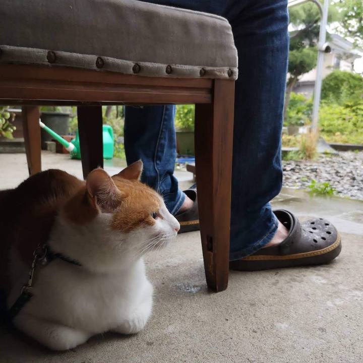 1df84c51 80ae 43d9 9d6c 1d67bc1f375f 1538275956784